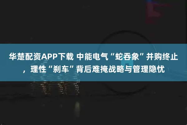 华楚配资APP下载 中能电气“蛇吞象”并购终止，理性“刹车”背后难掩战略与管理隐忧